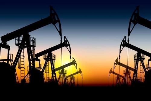 证监会批准开展原油、棕榈油期权交易
